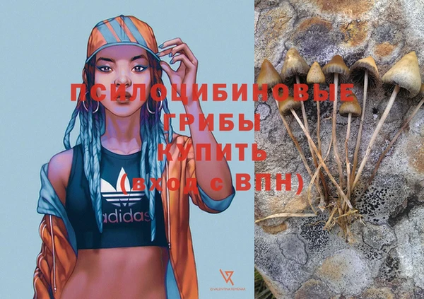 скорость Магас