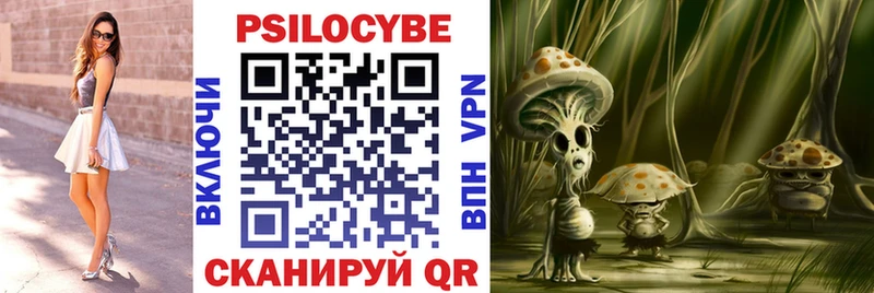 Псилоцибиновые грибы мицелий  гидра ТОР  Шилка  где купить  